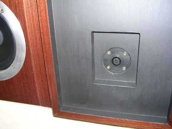 Figura 27 – Vista do conector traseiro de uma caixa, onde nota-se o rebaixo na madeira.