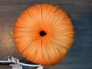 Figura 34 – Vista superior do trafo, a folga no centro está menor ainda.