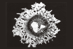 Figura 21– Furo em superfície metalizada de capacitor. Fonte: Wima [43].