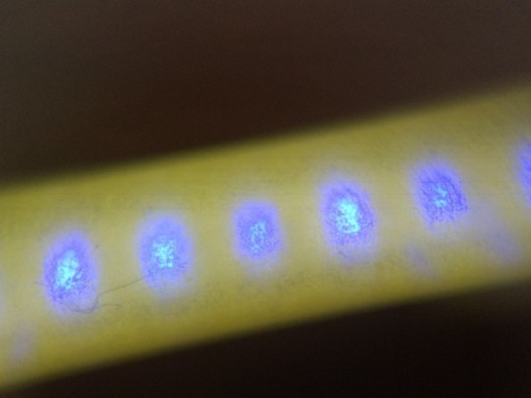 Figura 37 - Filamento LED alimentado com baixíssima corrente, onde aparecem os LEDs azuis através da camada de fósforo. Fonte: Designing with LEDs [113].